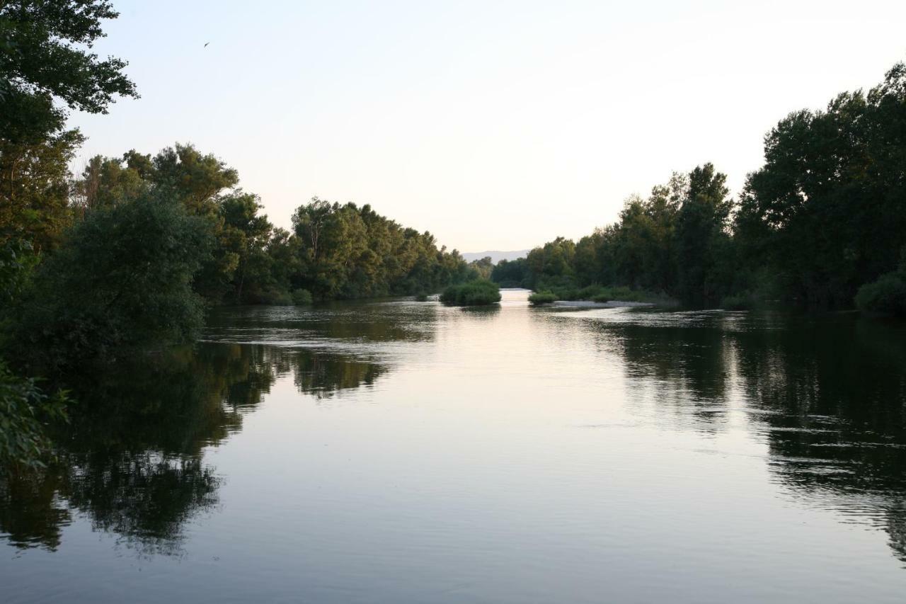Gîtes Château de la Selve Grospierres Extérieur photo